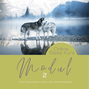 shine-akademie-stefanie-lampert-schwingungsmedizin-online-basis-kurs-module (2)