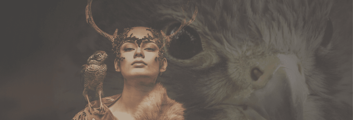 shine-akademie-heilpfade-der-archetypen (5)